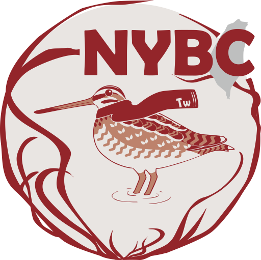 2023NYBC【參加! 猜猜樂!】