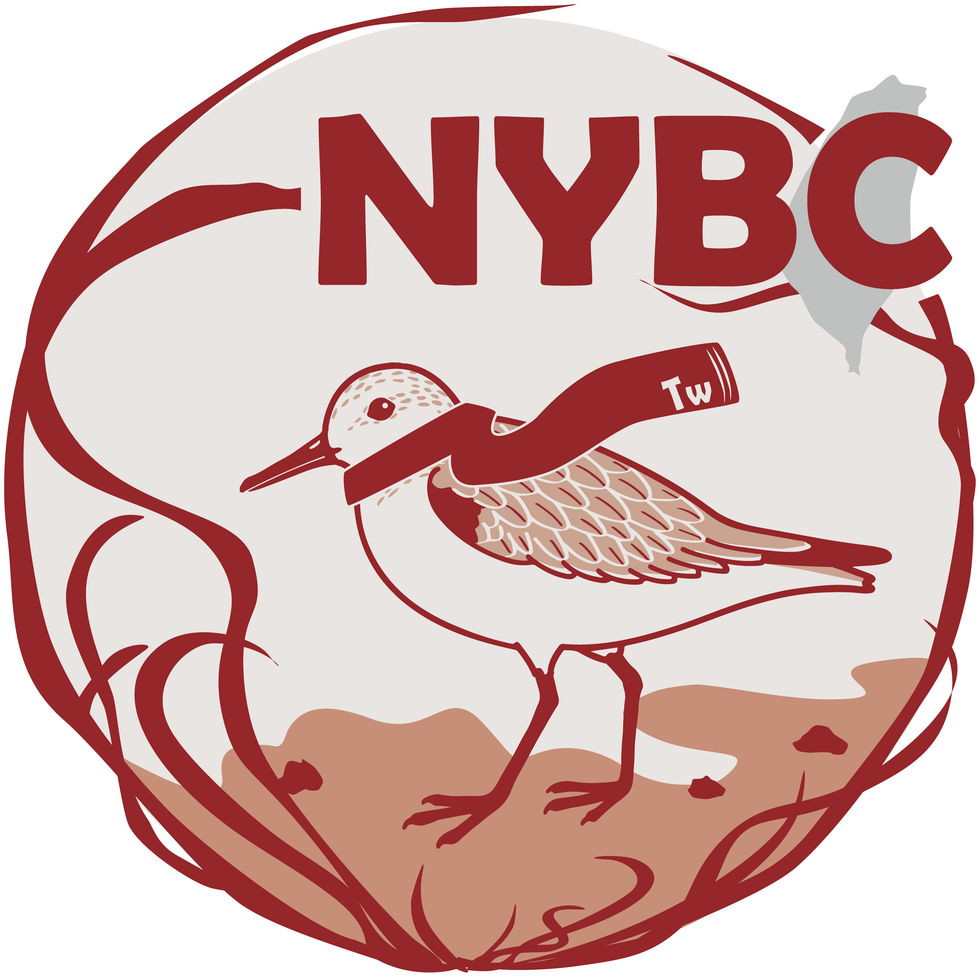 【2025臺灣新年數鳥嘉年華】活動即將於2024年12月21日(六)開始,開放樣區持續更新中