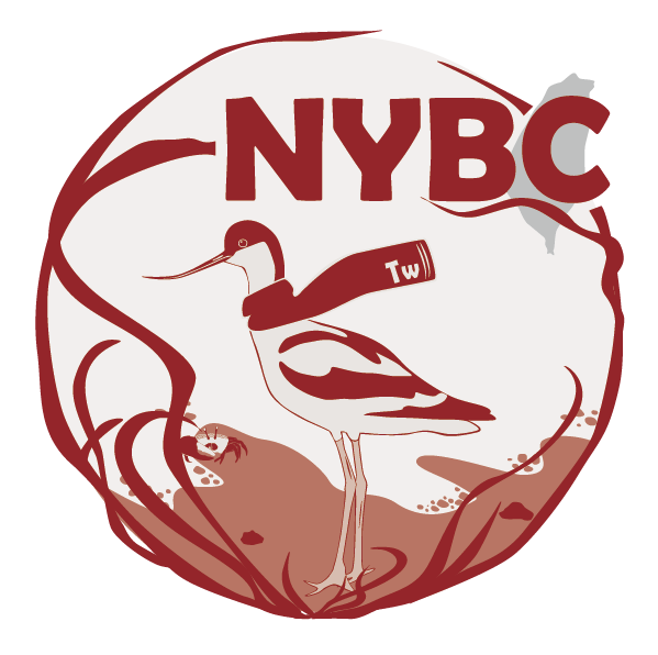 2019NYBC【參加! 猜猜樂!】